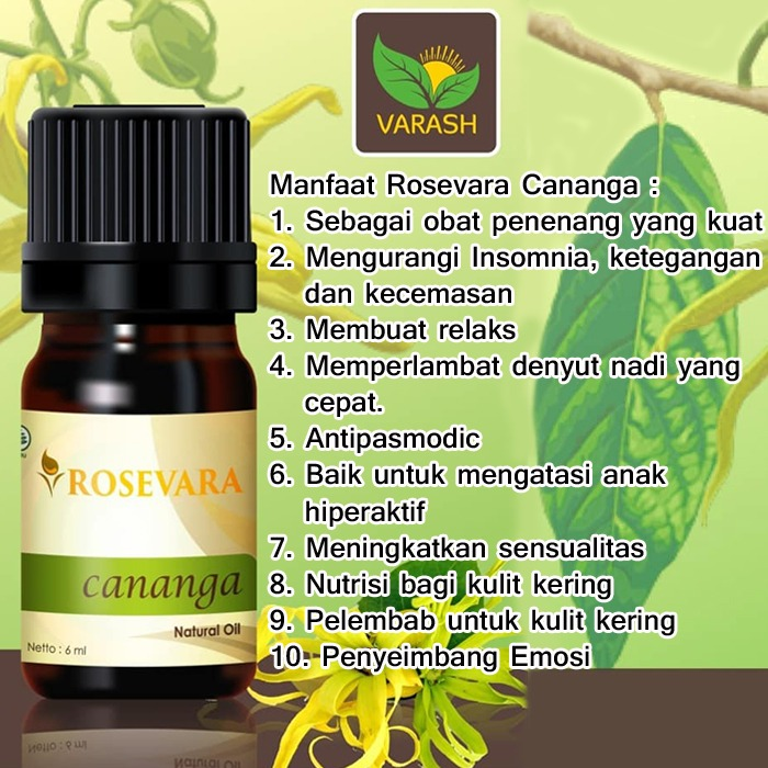 minyak esensial rosevara oil cananga
