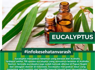 MINYAK EUCALYPTUS