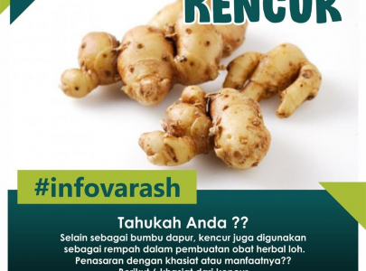 Manfaat Kencur Bagi Kesehatan