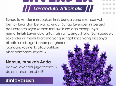 LAVENDER