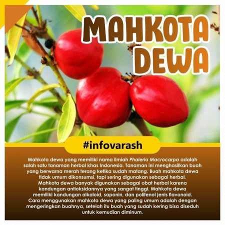 MANFAAT MAHKOTA DEWA