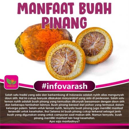Manfaat Buah Pinang