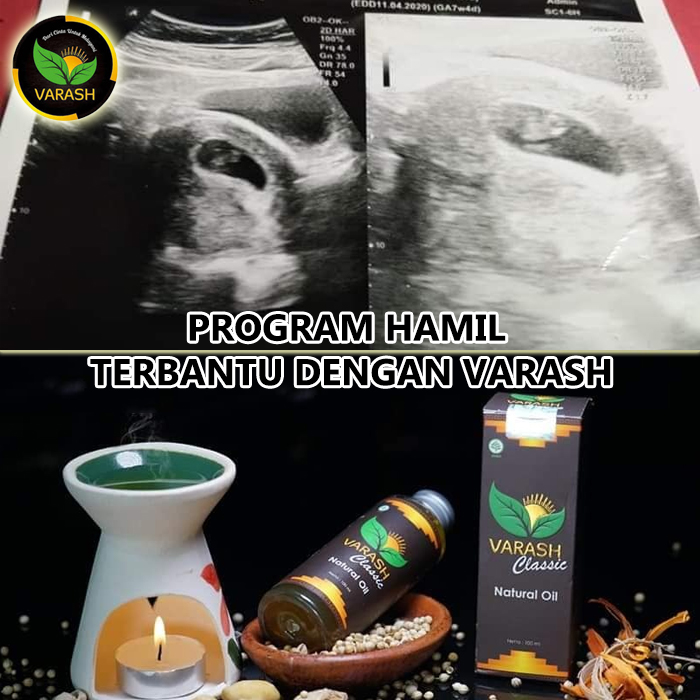 program hamil terbantu minyak varash classic oil