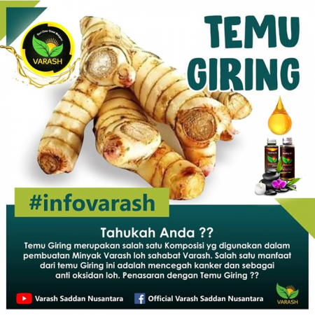 TEMU GIRING DAN VARASH NATURAL OIL
