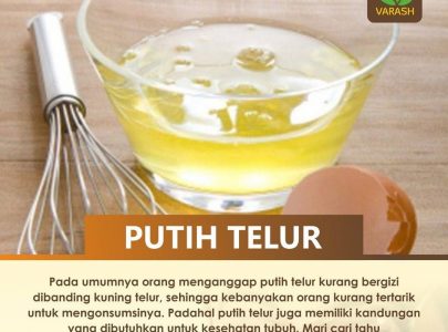 Manfaat Putih Telur Bagi Kesehatan