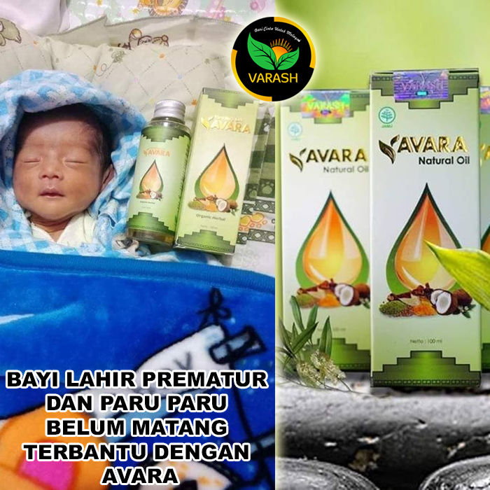 lahir prematur paru belum sempurna terbantu varash natural avara oil
