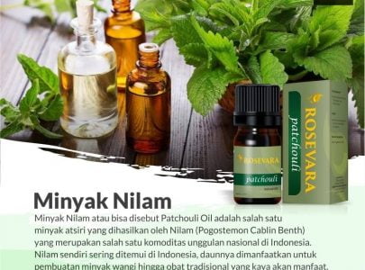 APA ITU MINYAK NILAM / PATCHOULI OIL ?