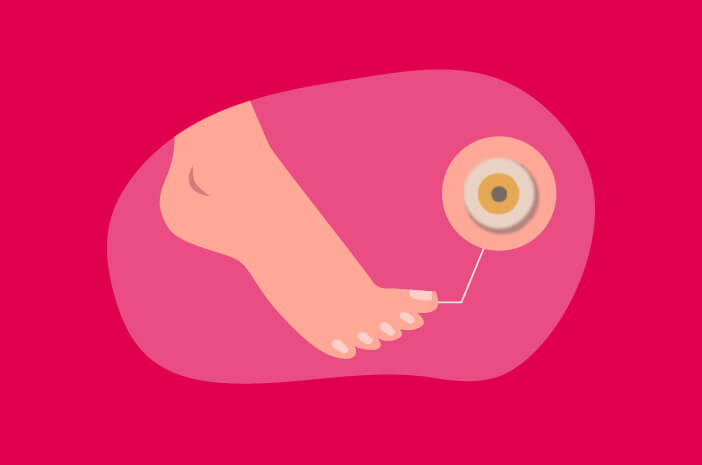 Image result for mata ikan